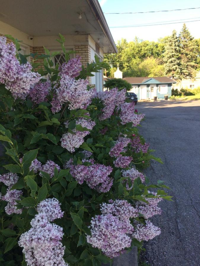 Motel Le Jardin Québec Buitenkant foto